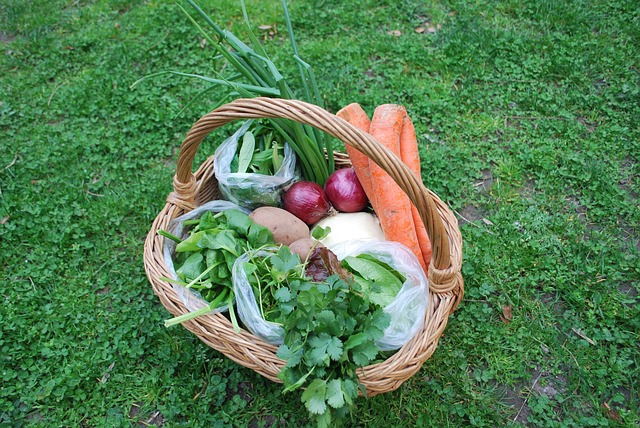 košík zeleniny